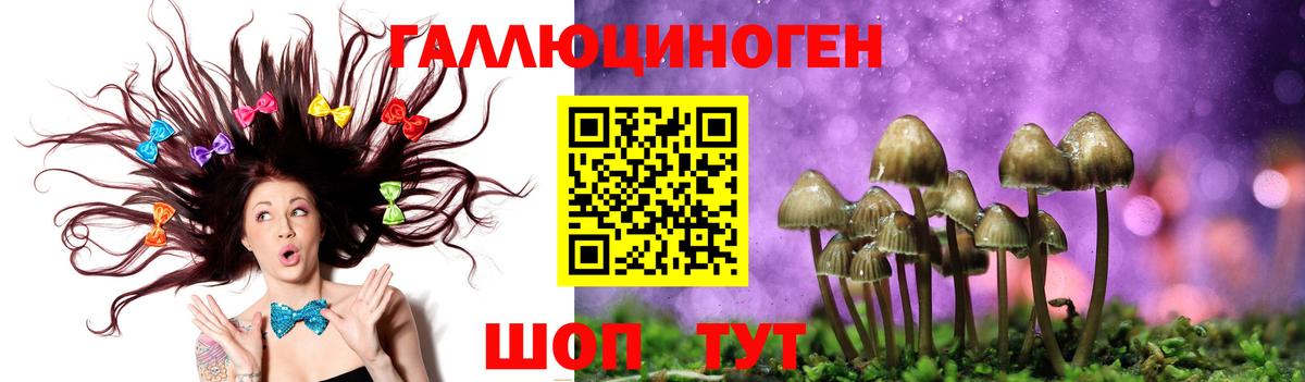 Мариинск  Галлюциногенные грибы MAGIC MUSHROOMS  Вход с VPN  Псилоцибиновые грибы Cubensis 